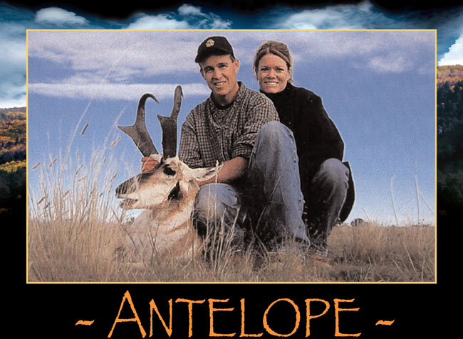 Pronghorn Antelope Hunting